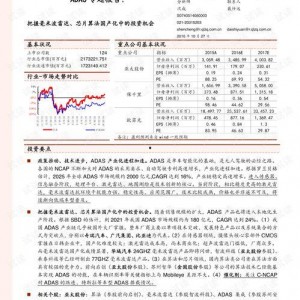国产19页,揭秘我国科技发展的新篇章